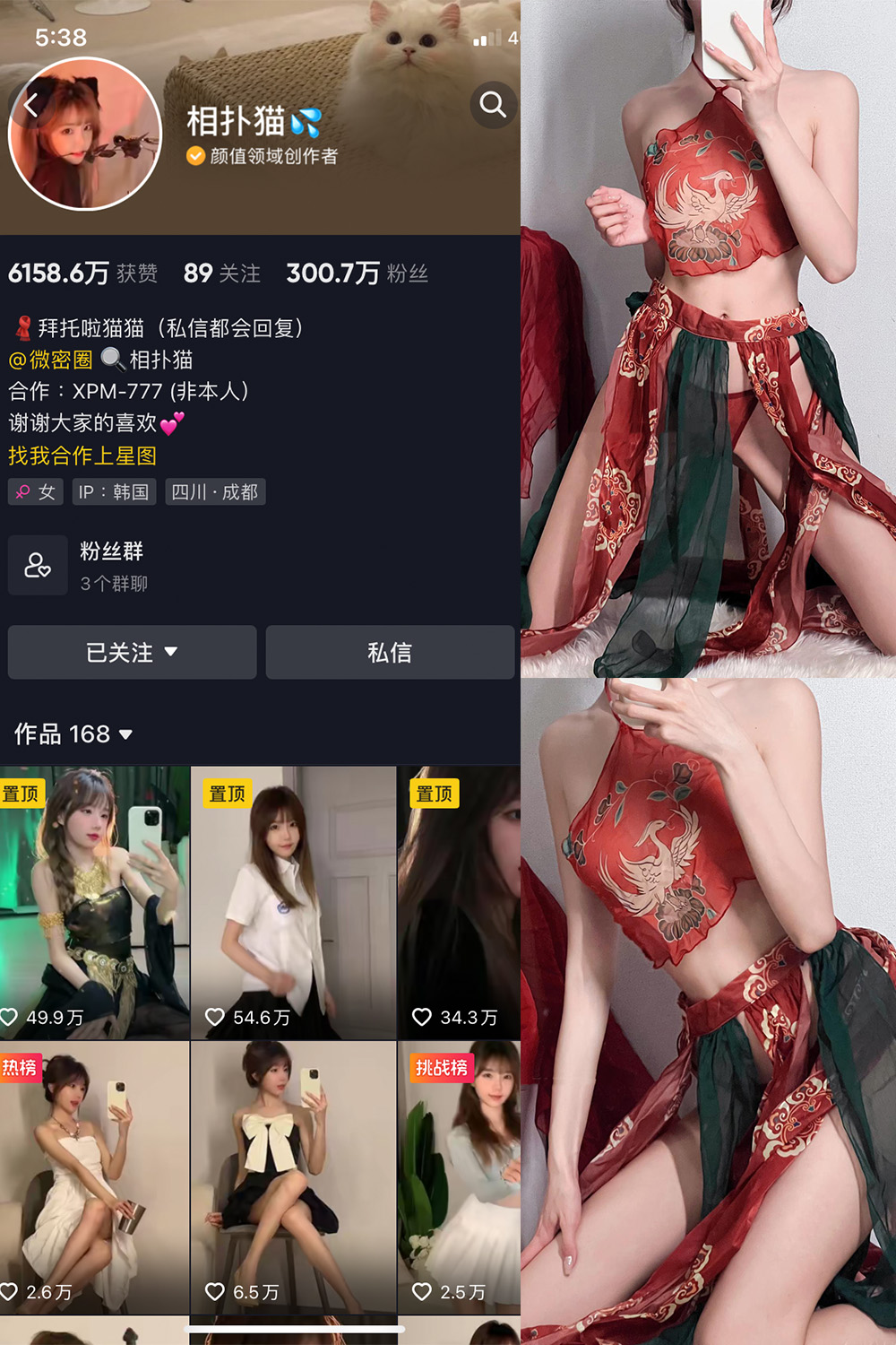 相扑猫 写真图片 5